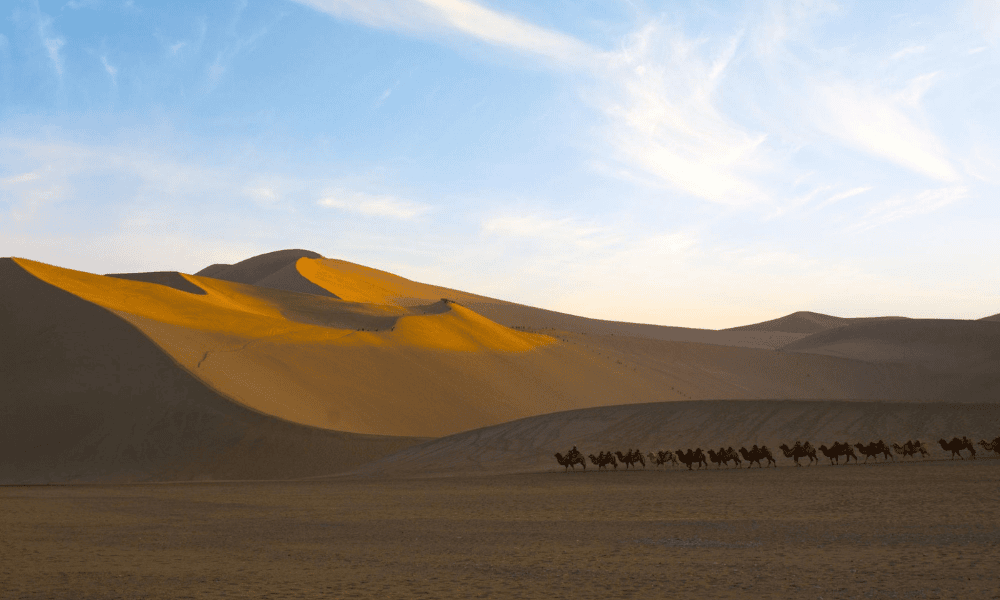 Gobi Desert Caravan Route with Milky Way